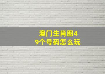 澳门生肖图49个号码怎么玩