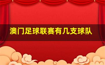 澳门足球联赛有几支球队