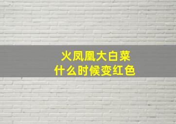 火凤凰大白菜什么时候变红色