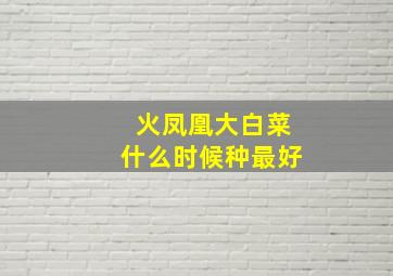 火凤凰大白菜什么时候种最好