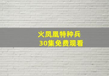 火凤凰特种兵30集免费观看