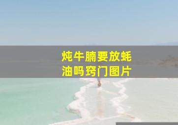 炖牛腩要放蚝油吗窍门图片