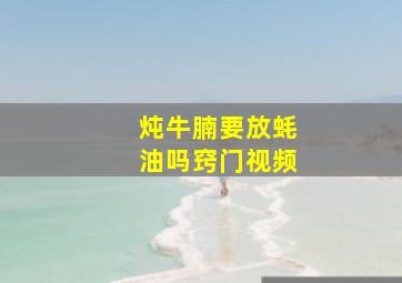 炖牛腩要放蚝油吗窍门视频