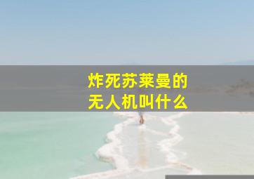 炸死苏莱曼的无人机叫什么