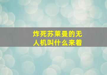 炸死苏莱曼的无人机叫什么来着