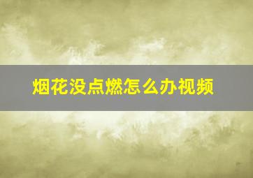 烟花没点燃怎么办视频