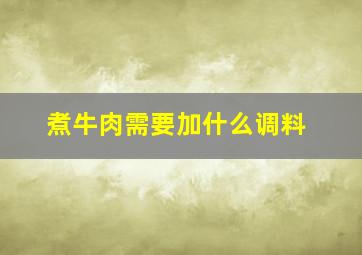 煮牛肉需要加什么调料