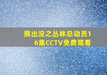 熊出没之丛林总动员16集CCTV免费观看