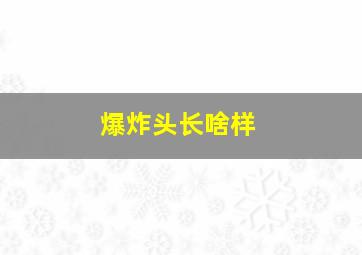 爆炸头长啥样