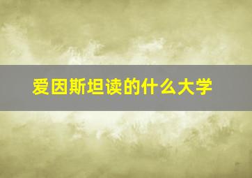 爱因斯坦读的什么大学