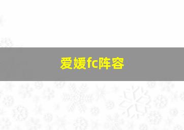 爱媛fc阵容