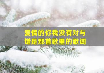 爱情的你我没有对与错是那首歌里的歌词