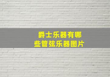 爵士乐器有哪些管弦乐器图片