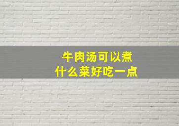 牛肉汤可以煮什么菜好吃一点