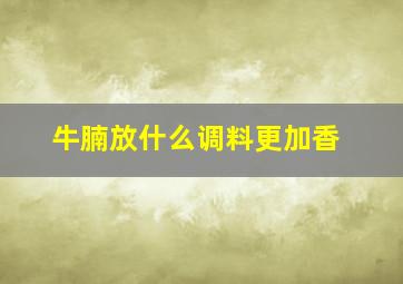 牛腩放什么调料更加香