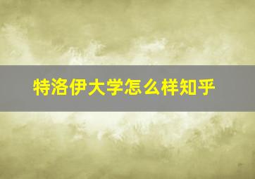 特洛伊大学怎么样知乎