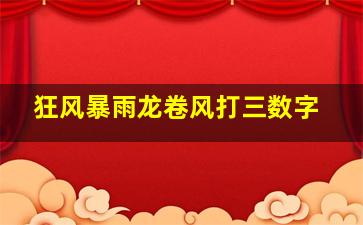 狂风暴雨龙卷风打三数字