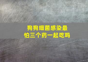 狗狗细菌感染最怕三个药一起吃吗