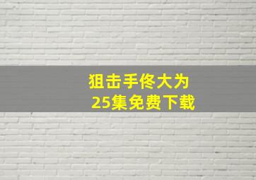 狙击手佟大为25集免费下载