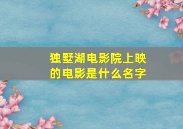 独墅湖电影院上映的电影是什么名字