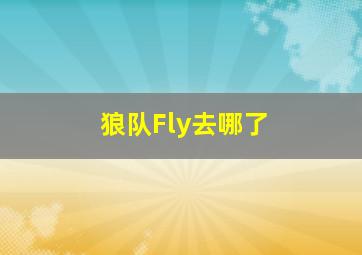 狼队Fly去哪了