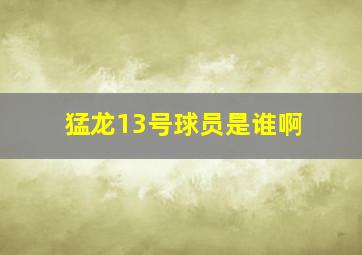 猛龙13号球员是谁啊