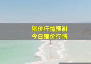 猪价行情预测今日猪价行情