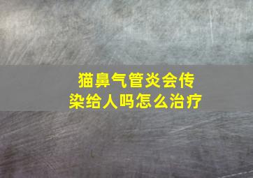 猫鼻气管炎会传染给人吗怎么治疗