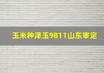 玉米种泽玉9811山东审定