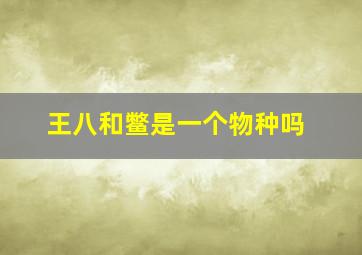 王八和鳖是一个物种吗