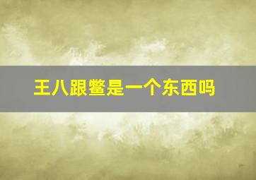 王八跟鳖是一个东西吗