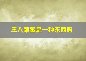 王八跟鳖是一种东西吗