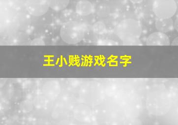 王小贱游戏名字