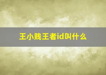 王小贱王者id叫什么