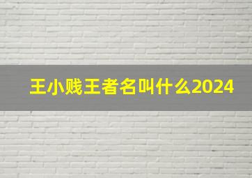 王小贱王者名叫什么2024