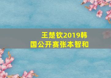 王楚钦2019韩国公开赛张本智和