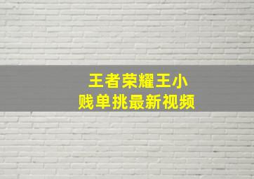 王者荣耀王小贱单挑最新视频