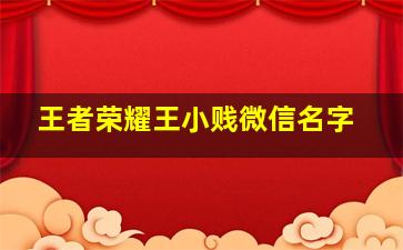 王者荣耀王小贱微信名字