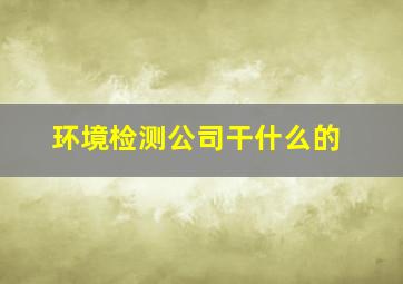 环境检测公司干什么的