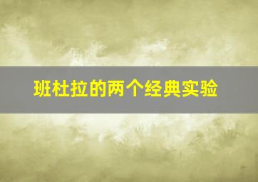 班杜拉的两个经典实验