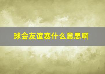 球会友谊赛什么意思啊