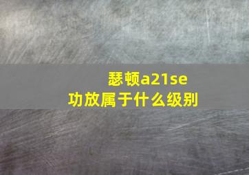 瑟顿a21se功放属于什么级别