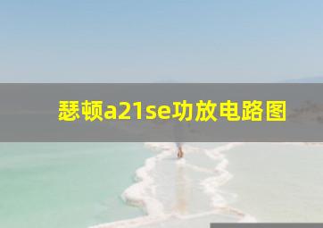 瑟顿a21se功放电路图