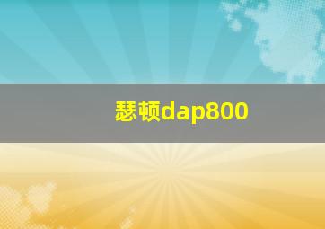 瑟顿dap800