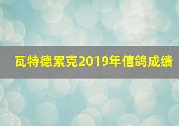 瓦特德累克2019年信鸽成绩