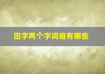 田字两个字词组有哪些