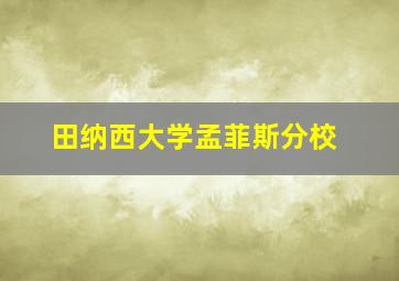 田纳西大学孟菲斯分校