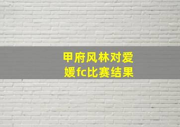 甲府风林对爱媛fc比赛结果