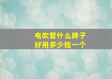 电吹管什么牌子好用多少钱一个