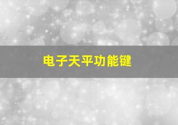 电子天平功能键